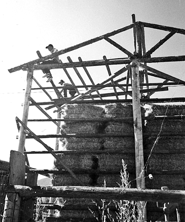 Hay Shed